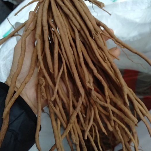 仁寿县四川新鲜威灵仙，一把米，老虎须，百条根，也有晒干的