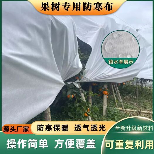 赣州果树绿植防寒布防寒罩透气透光防水防霜冻可循环使用