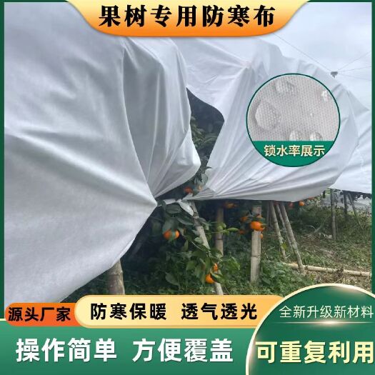 果树绿植防寒布防寒罩透气透光防水防霜冻可循环使用