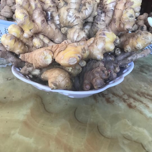 楚雄市云南小黄姜
