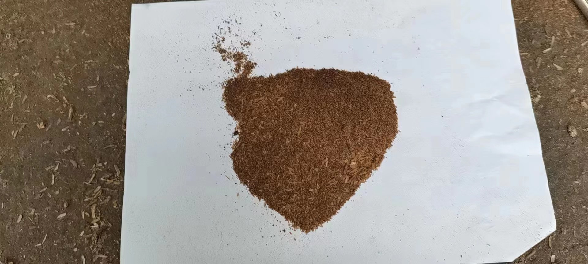 四川白酒糟粉  烘干的