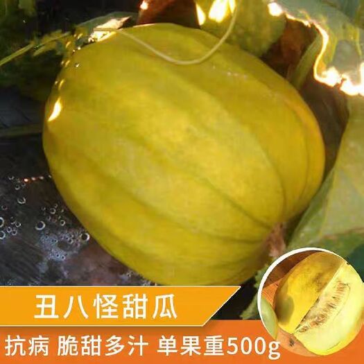 武汉冰糖丑八怪甜瓜种子金疙瘩薄皮香瓜种籽田园露天四季丰产水果种子