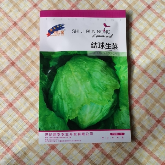 夏邑县结球生菜