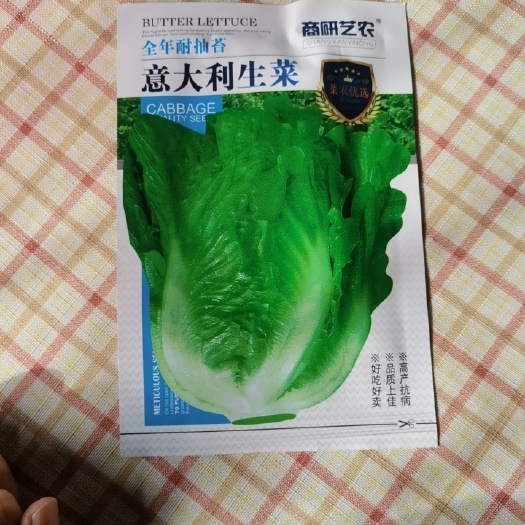 夏邑县意大利生菜种子
