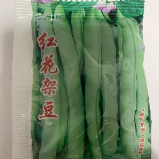 红花四季豆种子早熟豆角种子架豆芸豆种子农家四季播蔬菜种子