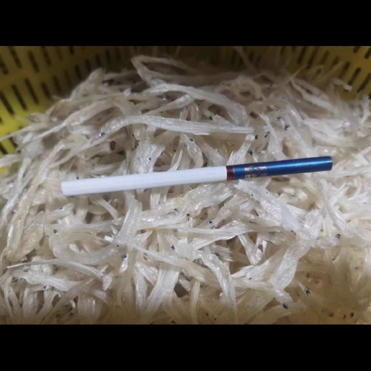 肥西县银鱼干