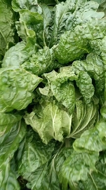 鲁山县大白菜