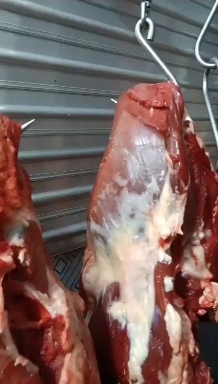羊肉
