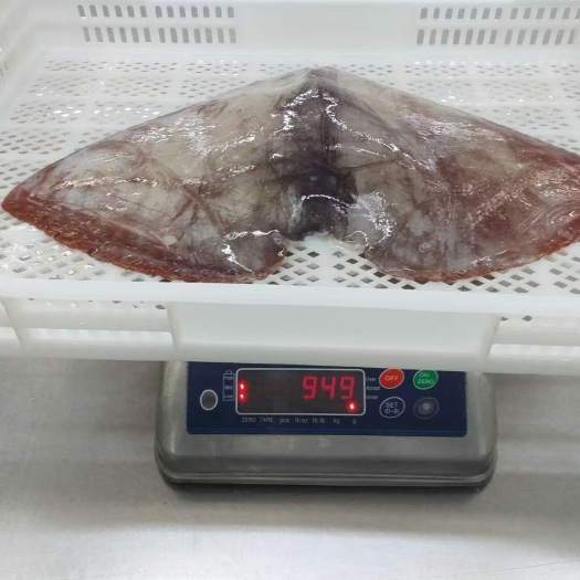 烟台秘鲁生耳