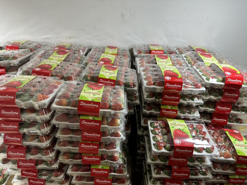 云南冬季牛奶草莓奶茶蛋糕烘焙糖葫芦冬季甜草莓,奶油香，水晶盒