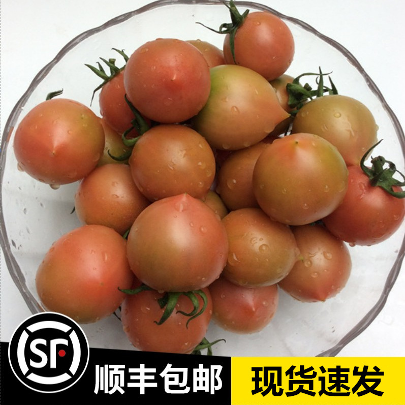 东山县春桃圣女果新鲜小西红柿子樱桃番茄非铁皮水果3-5斤