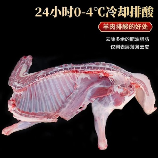 重庆市甘肃百草羊肉质细腻，不膻