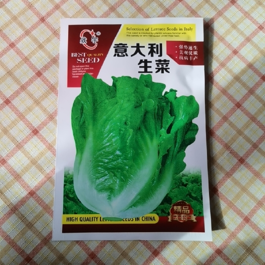 夏邑县意大利生菜