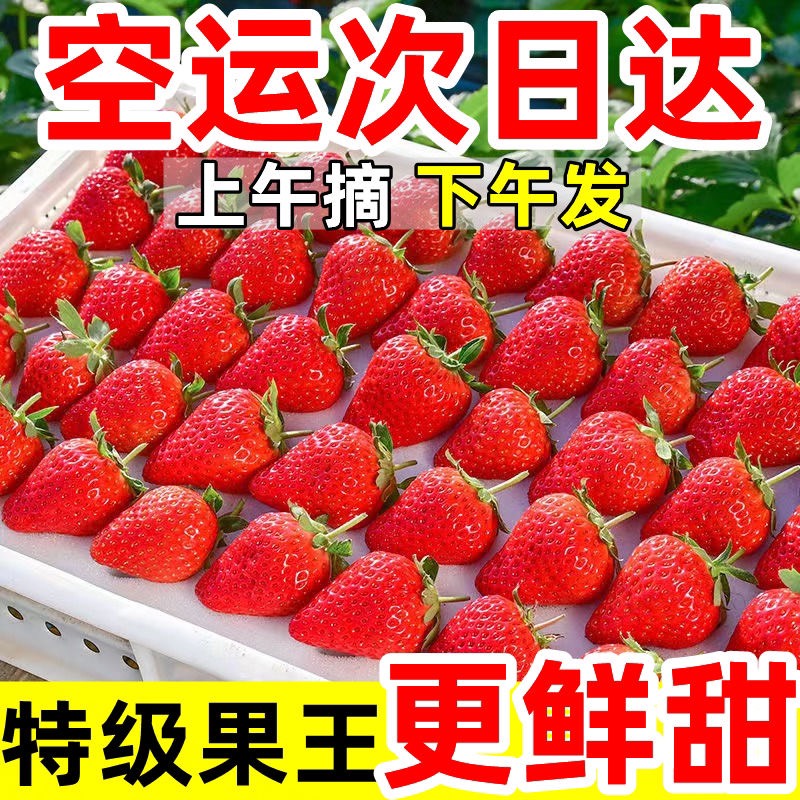 云南冬季牛奶草莓奶茶蛋糕烘焙糖葫芦冬季甜草莓,奶油香，水晶盒