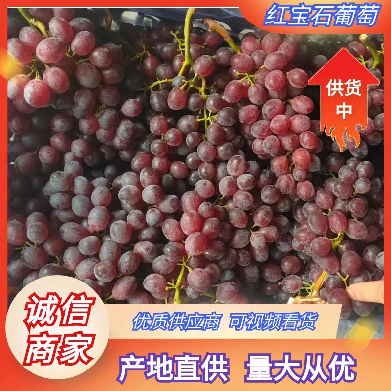 龙口市山东烟台红宝石葡萄大量出库，直供全国，口感好，颗粒大