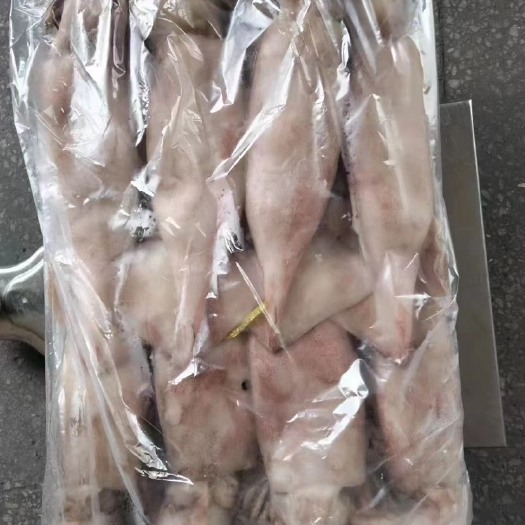 舟山鱿鱼船冻鱿鱼自家工厂批发
