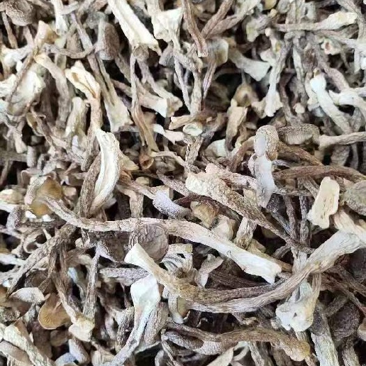 鹿茸菇 食用菌干货  一手货源