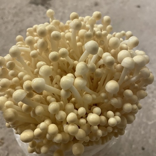 重庆市黄金针菇