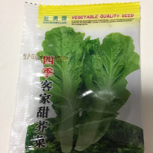 长沙四季大叶水东甜芥菜种子广东包心甜芥菜种籽农家蔬菜种籽芥菜