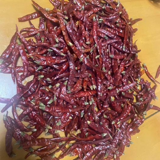 南宁印度干辣椒