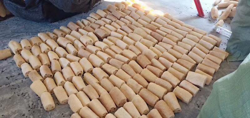 巢湖丝瓜布