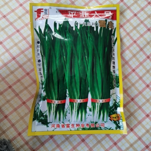 郑州平韭六号（雪韭）