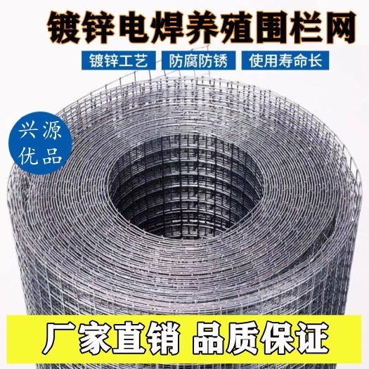 安平县镀锌铁丝网围栏阳台防护网防鼠蛇鸡鸭鸟兔养殖网简易钢丝笼护栏网