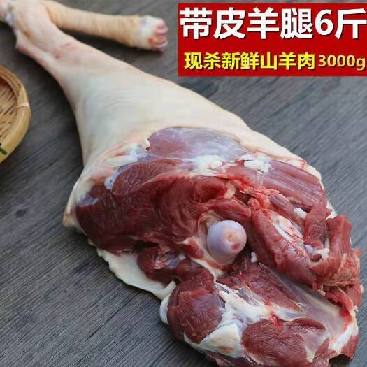 新鲜带皮羊后腿带骨农家散养羊前腿冷冻清真带皮羊排山羊肉羊腿