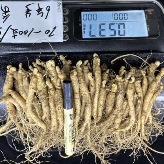 通化县长白山新鲜人参