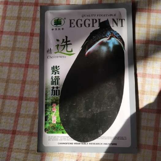 夏邑县紫罐茄