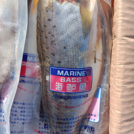 滨州年货海鲈鱼鲜冻独立包装年货送礼商用！！！！！