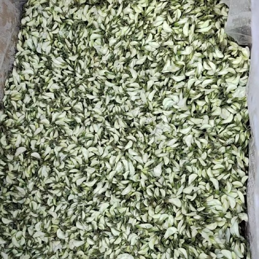 南阳干冻槐花，精品货源