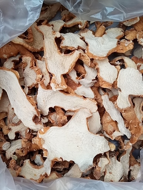 重庆市黄精片