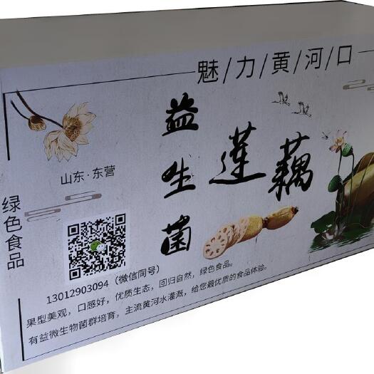 东营黄河口益生菌有机莲藕