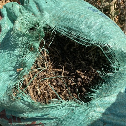 浏阳市湖南浏阳纯羊粪