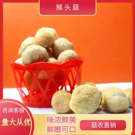 古田县猴头菇干货小包装