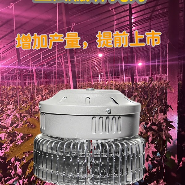 全光谱100w植物补光灯 草莓生长灯 丝瓜补光灯 增加产量