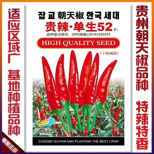 凯里市单生朝辣椒种子 产量高朝天椒辣椒种基地朝天椒种子小米辣椒种子