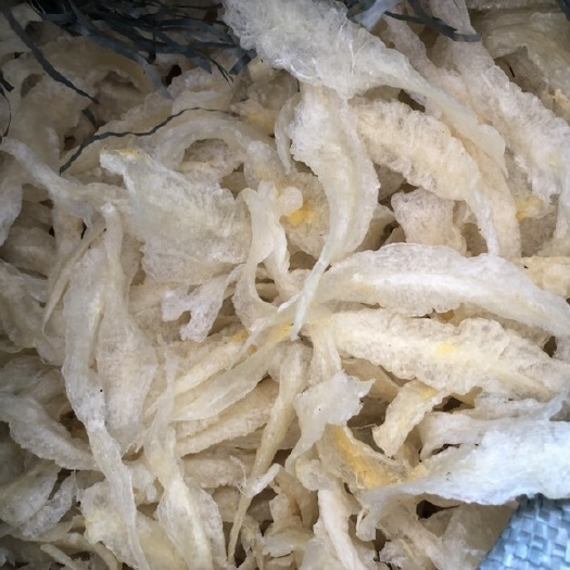 宁波花胶 巴沙胶
