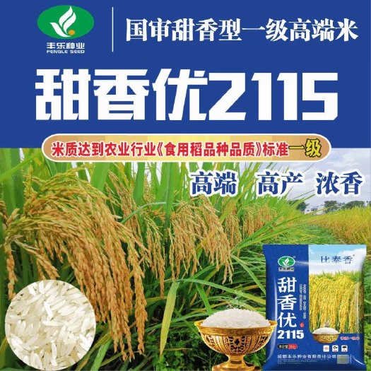 甜香优2115杂交水稻种子长粒香米水稻种子浓香型长粒一级