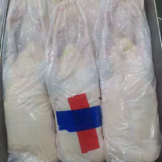安新县嫩番鸭全鸭（又名红嘴雁鹅）黄皮白皮均可预订厂家直销
