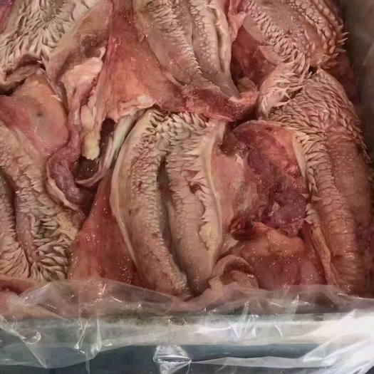 磐安县牛嘴叉子 牛天梯 牛鼻子