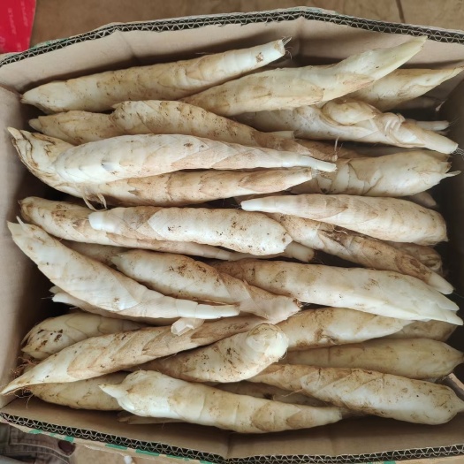 大量