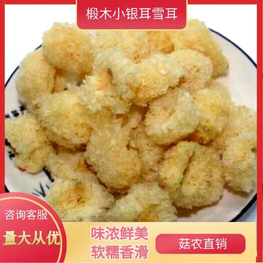 古田县银耳