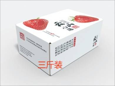 丹东九九（红颜）草莓