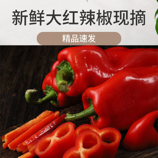 百色大红椒，厚皮泡椒，甜椒（基地直供，质量货量保证）
