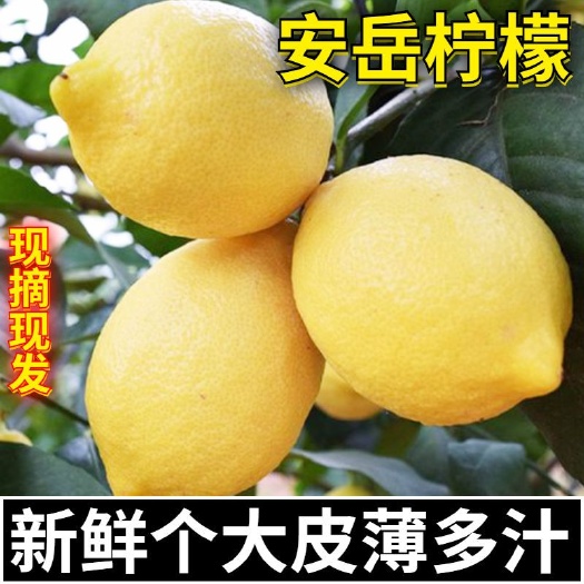 彭州市【一件代发】新鲜安岳黄柠檬当季新鲜水果电商直播代发