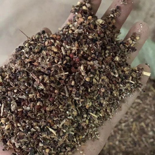 贵港高粱壳 饲料 适用于喂牛羊添加 植物种植