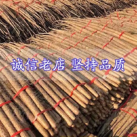 任丘市5斤鐵棍山藥  粉糯新鮮山藥鐵棍麻山藥小白嘴淮山藥鐵桿河北特