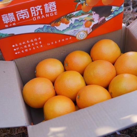 印江县脐橙